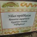 Állatkert-Bográcsozás 2009.05.01.