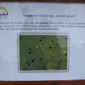 Állatkert-Bográcsozás 2009.05.01.