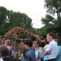 Állatkert-Bográcsozás 2009.05.01.