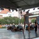 Táncbiennálé 2011.